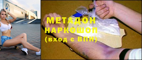 индика Богданович