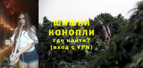 дурь Няндома