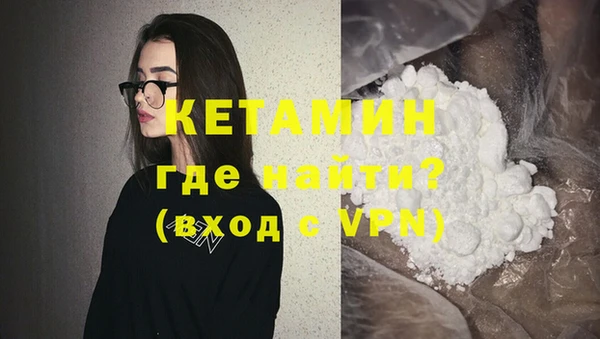 индика Богданович