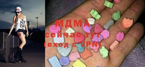 индика Богданович