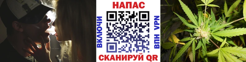 Бошки марихуана гибрид Михайлов